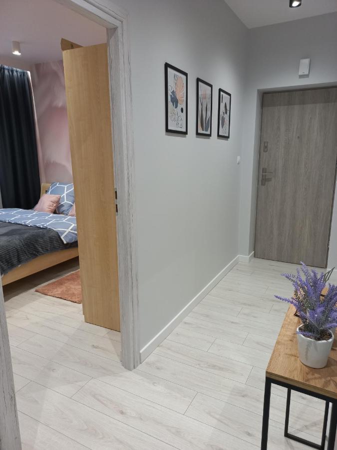 Apartment Dolores Rzeszow